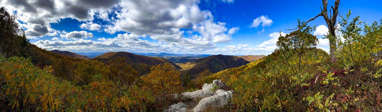The Blue Ridge Boxster Summit